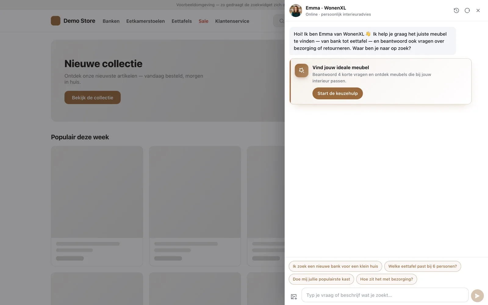 Shopping Assistant answering a purchase question in a demo store